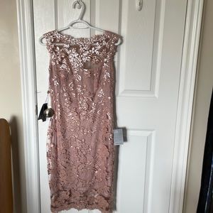Gorgeous Dusty Rose TADASHI SHOJI Designer Dress Brand New